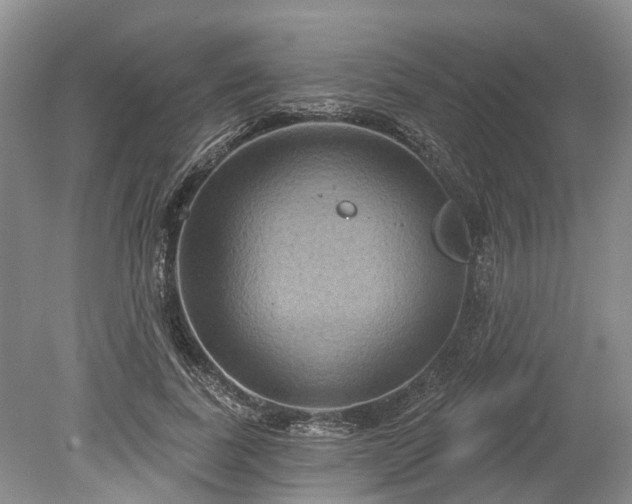 X0000078890739200611201436