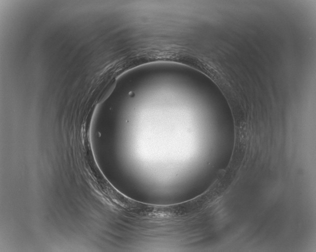 X0000078890741200611201436