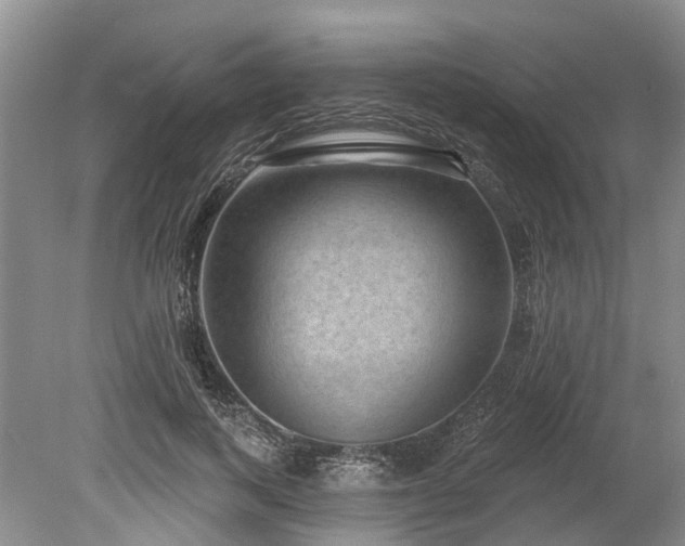 X0000078890743200611201436