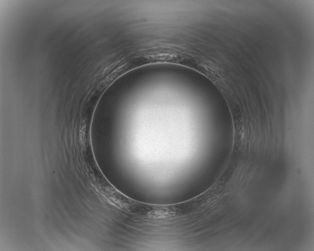 X0000078890745200611201436