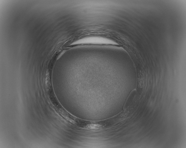 X0000078890748200611201436