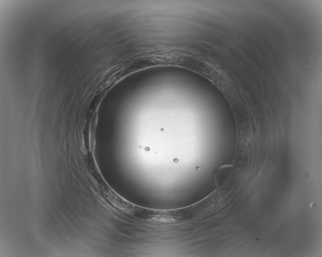 X0000078890749200611201436