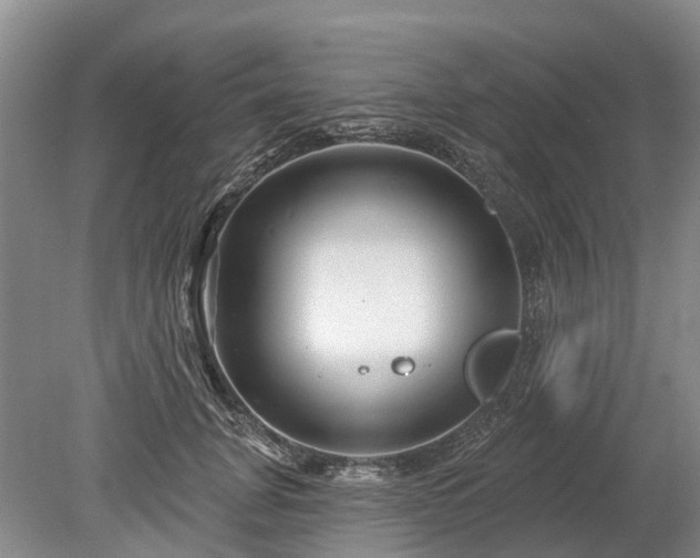 X0000078890751200611201436