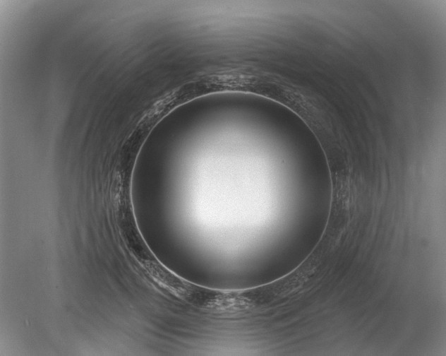 X0000078890752200611201436