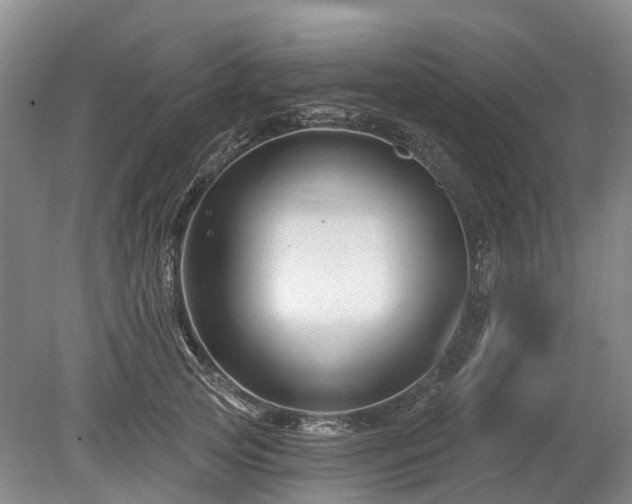 X0000078890753200611201436