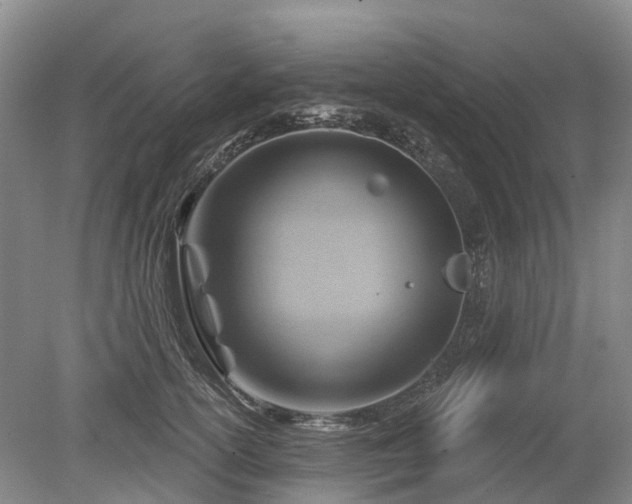 X0000078890754200611201436