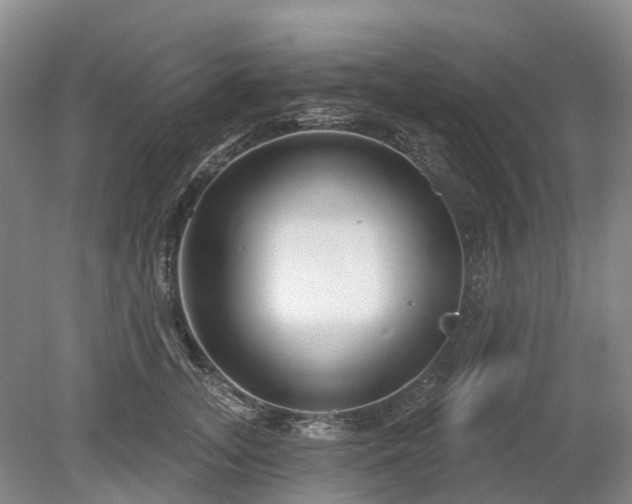 X0000078890755200611201436