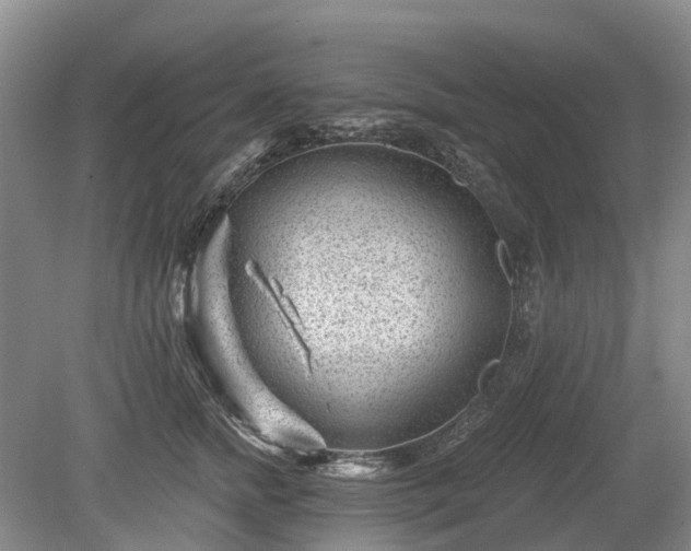 X0000078890758200611201436