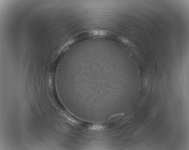 X0000078890759200611201436