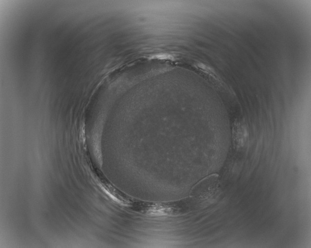 X0000078890760200611201436