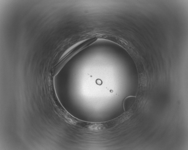 X0000078890761200611201436