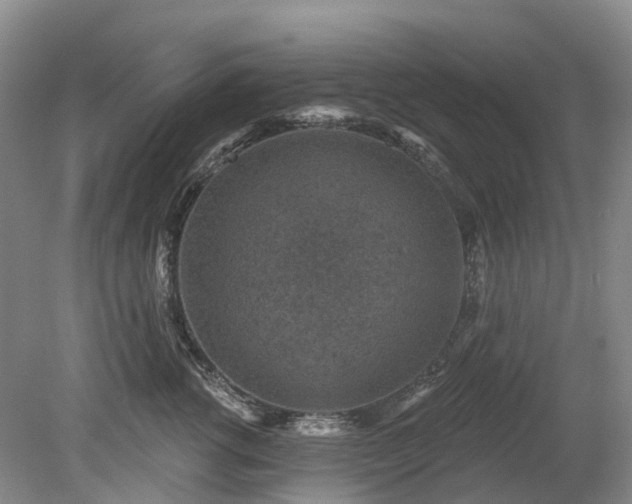 X0000078890762200611201436