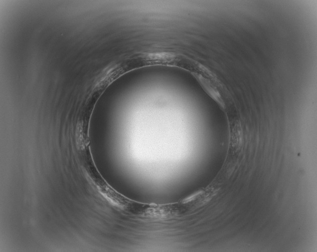 X0000078890764200611201436