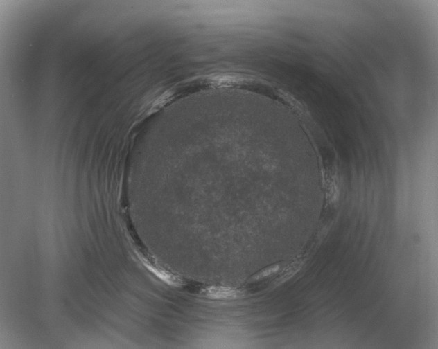 X0000078890766200611201436