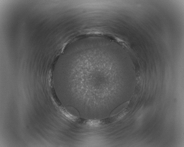 X0000078890767200611201436