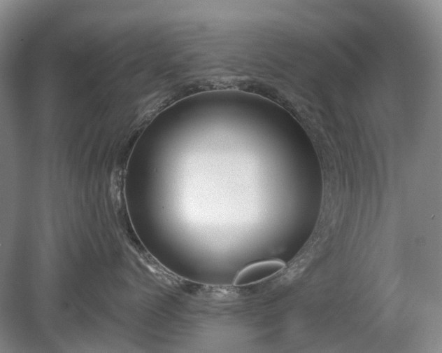 X0000078890768200611201436