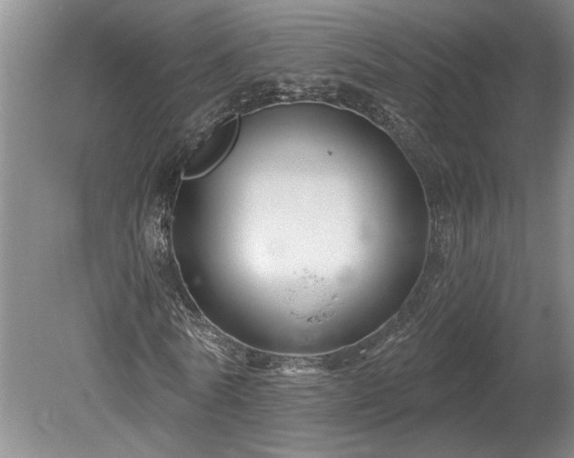 X0000078890770200611201436