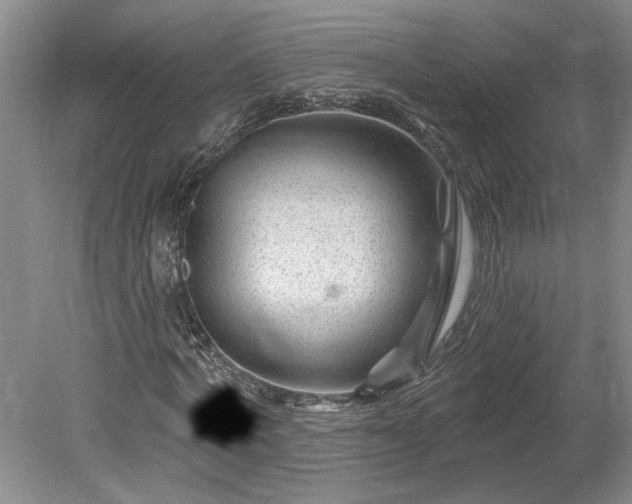 X0000078890772200611201436