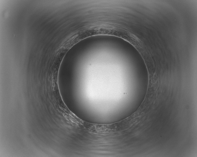 X0000078890774200611201436