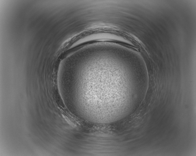 X0000078890775200611201436