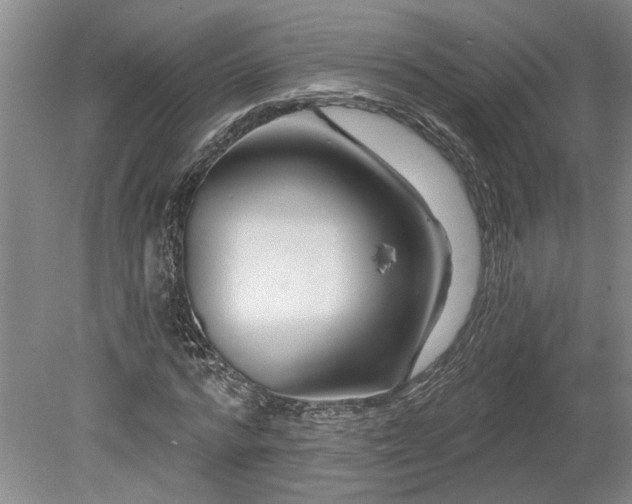 X0000078890776200611201435