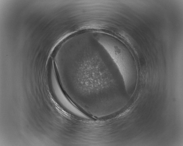 X0000078890779200611201435