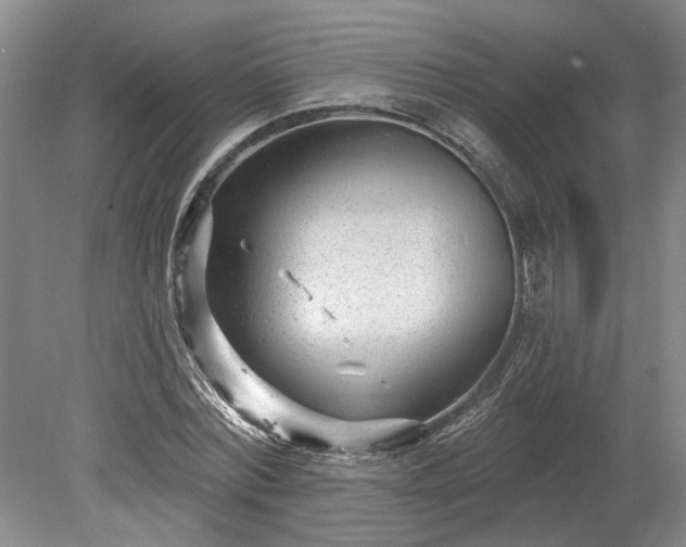 X0000078890780200611201435