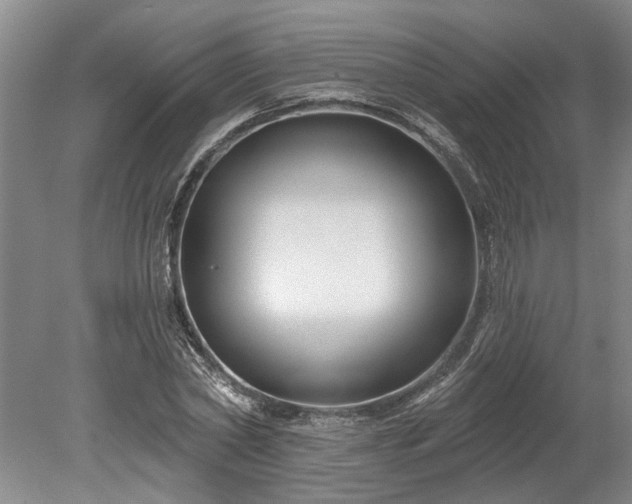 X0000078890782200611201435