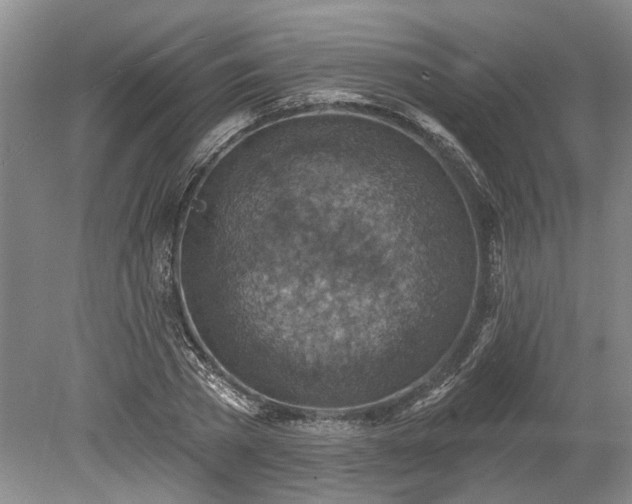 X0000078890785200611201435