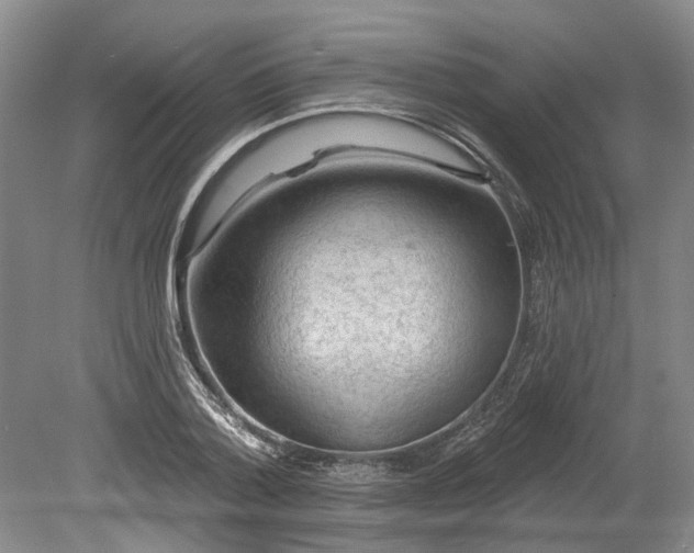 X0000078890788200611201435