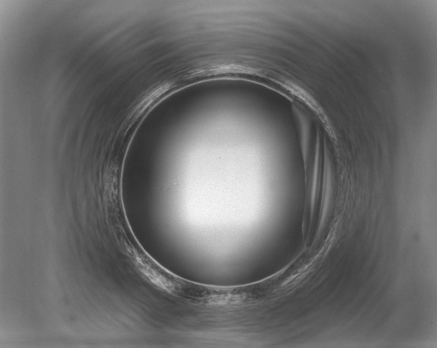 X0000078890793200611201435