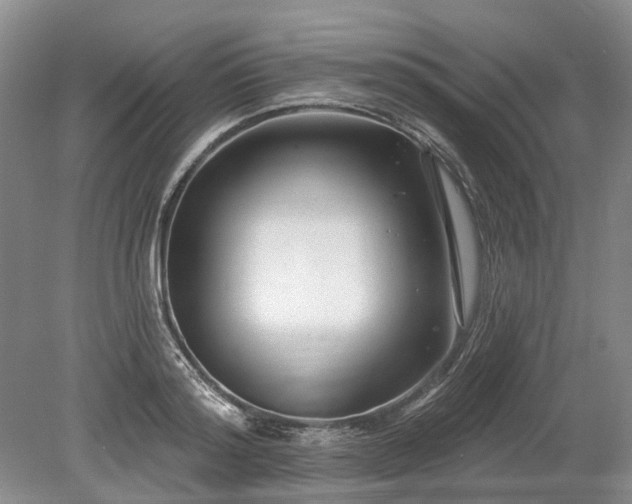 X0000078890796200611201435