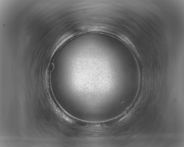 X0000078890798200611201435