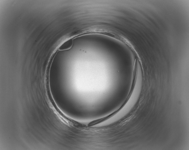 X0000078890803200611201435