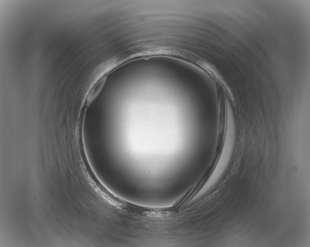 X0000078890805200611201435