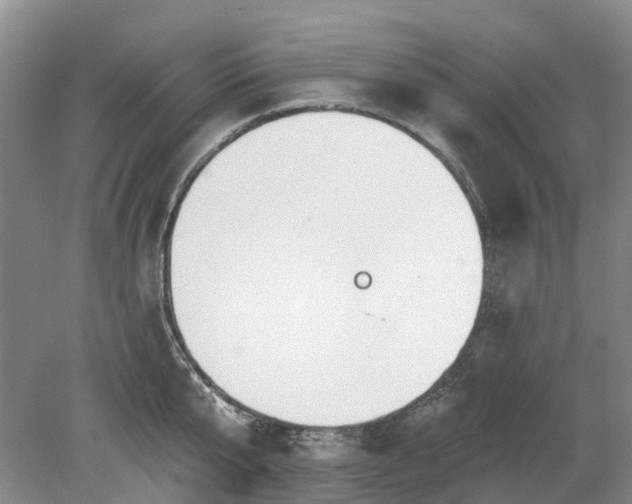 X0000078890807200611201435