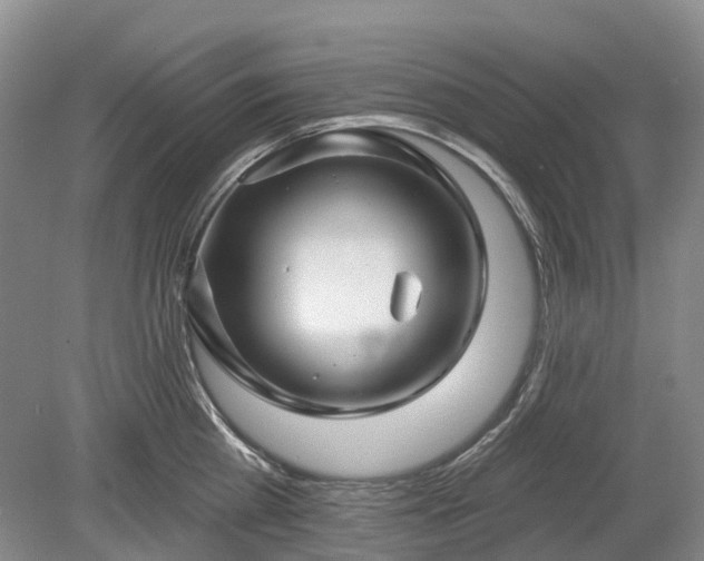 X0000078890809200611201435