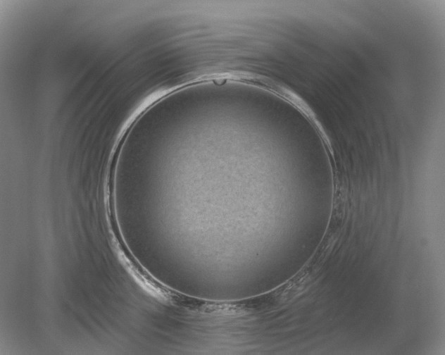 X0000078890811200611201435