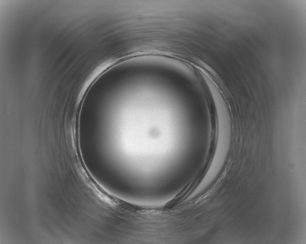 X0000078890812200611201435