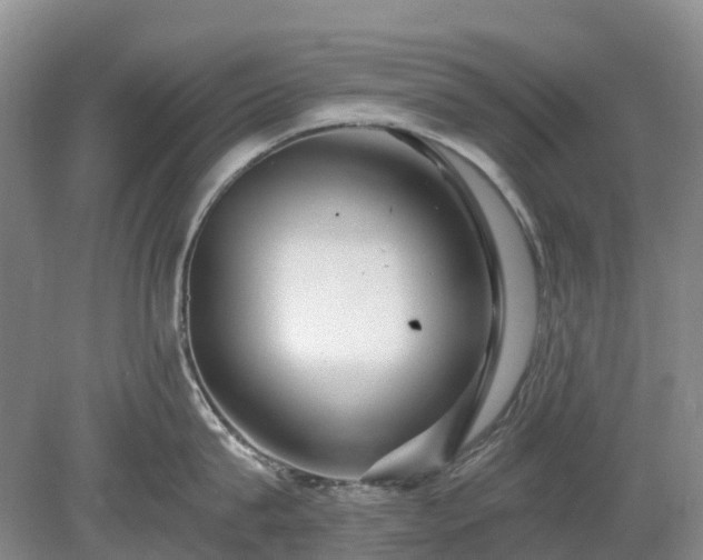 X0000078890815200611201435