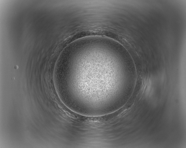 X0000078890817200611201434