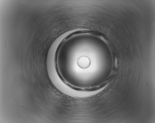 X0000078890818200611201434