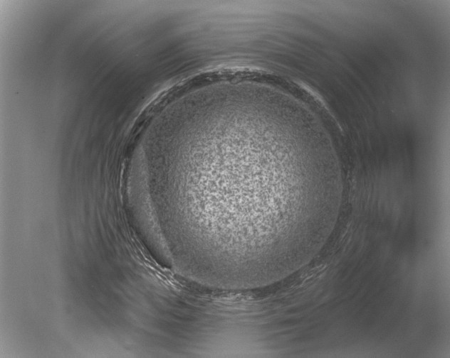 X0000078890823200611201434