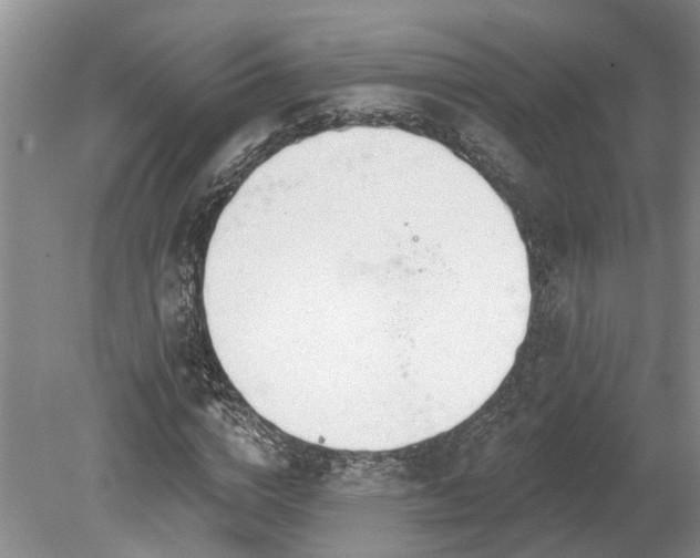 X0000078890824200611201434