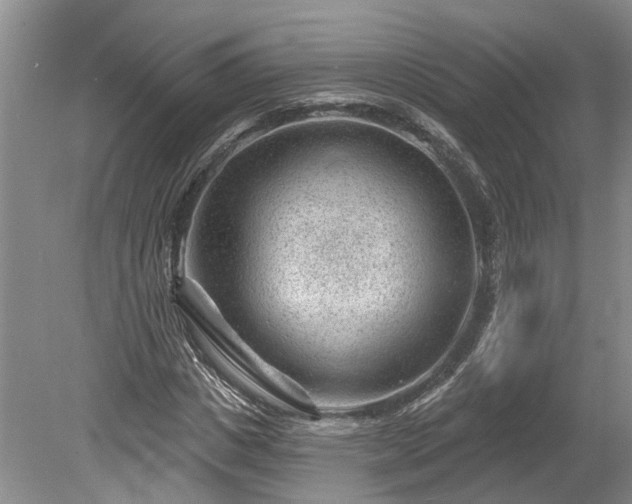 X0000078890825200611201434