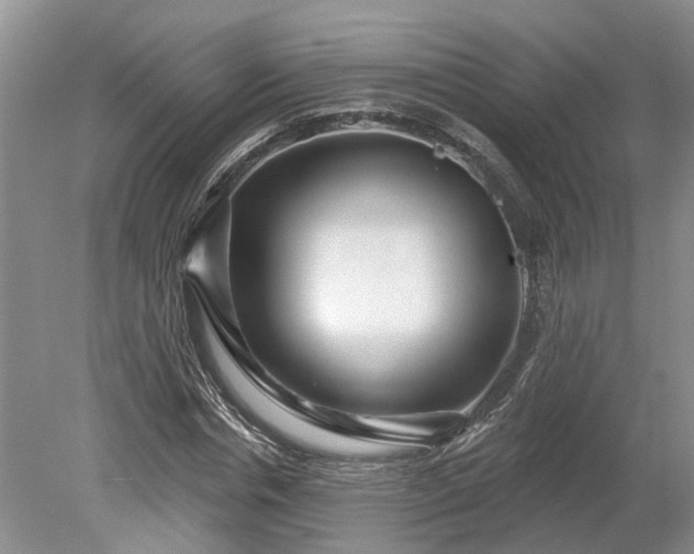 X0000078890826200611201434