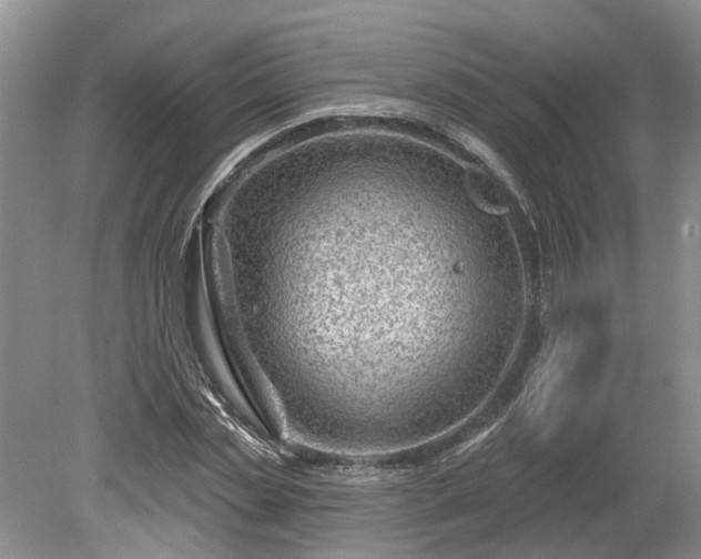 X0000078890829200611201434