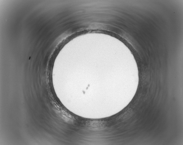 X0000078890832200611201434