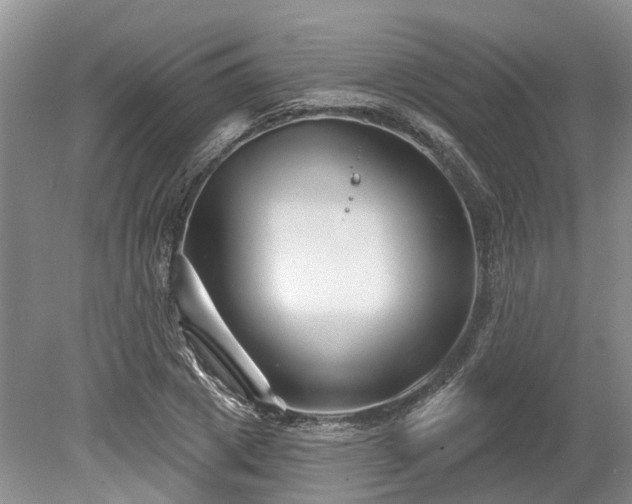 X0000078890833200611201434