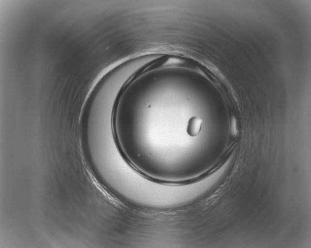 X0000078890838200611201434